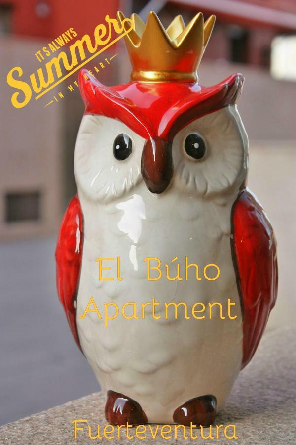 El Buho Wi-fi